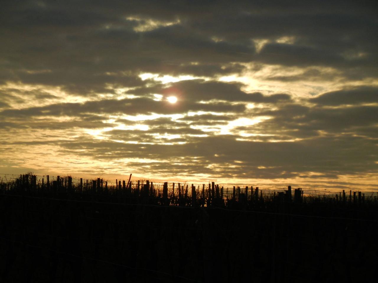 coucher de soleil d'hiver