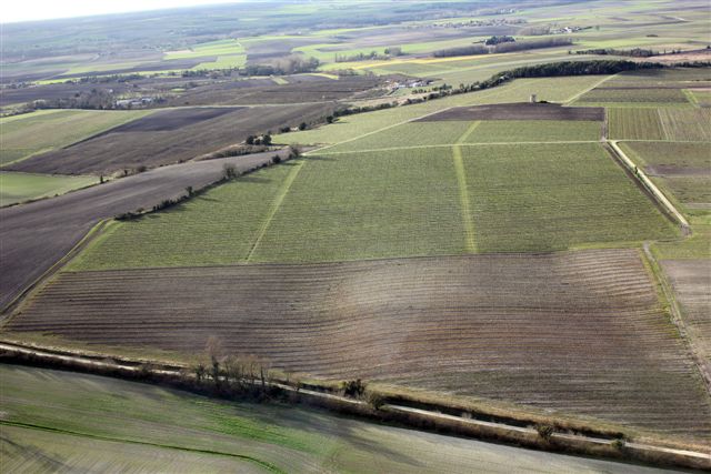 longue parcelle ondulée