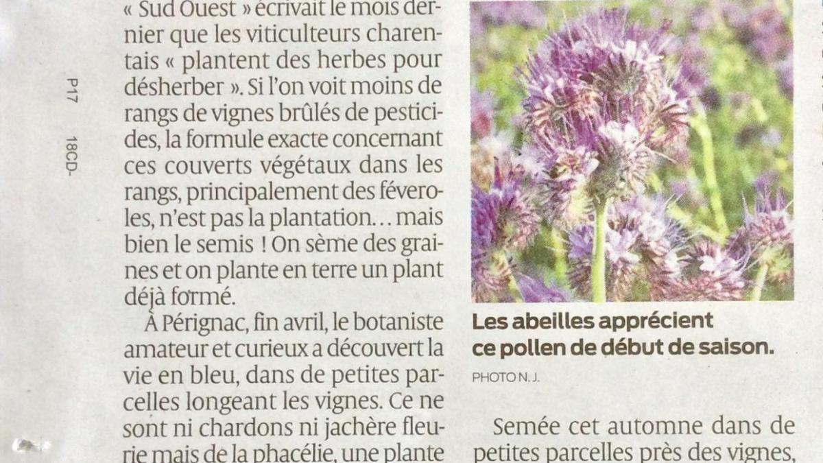 Article so mai2019