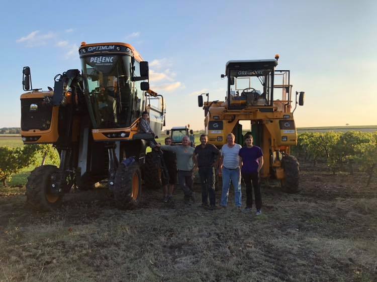 Fin vendanges