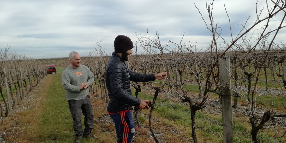 Maxime julliard et soufiyan oualla qui a fonde son entreprise de travaux agricoles