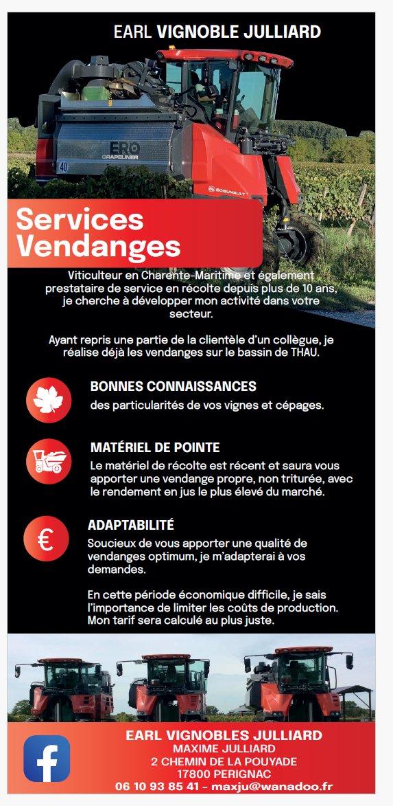 Prestation de service vendange dans le Sud