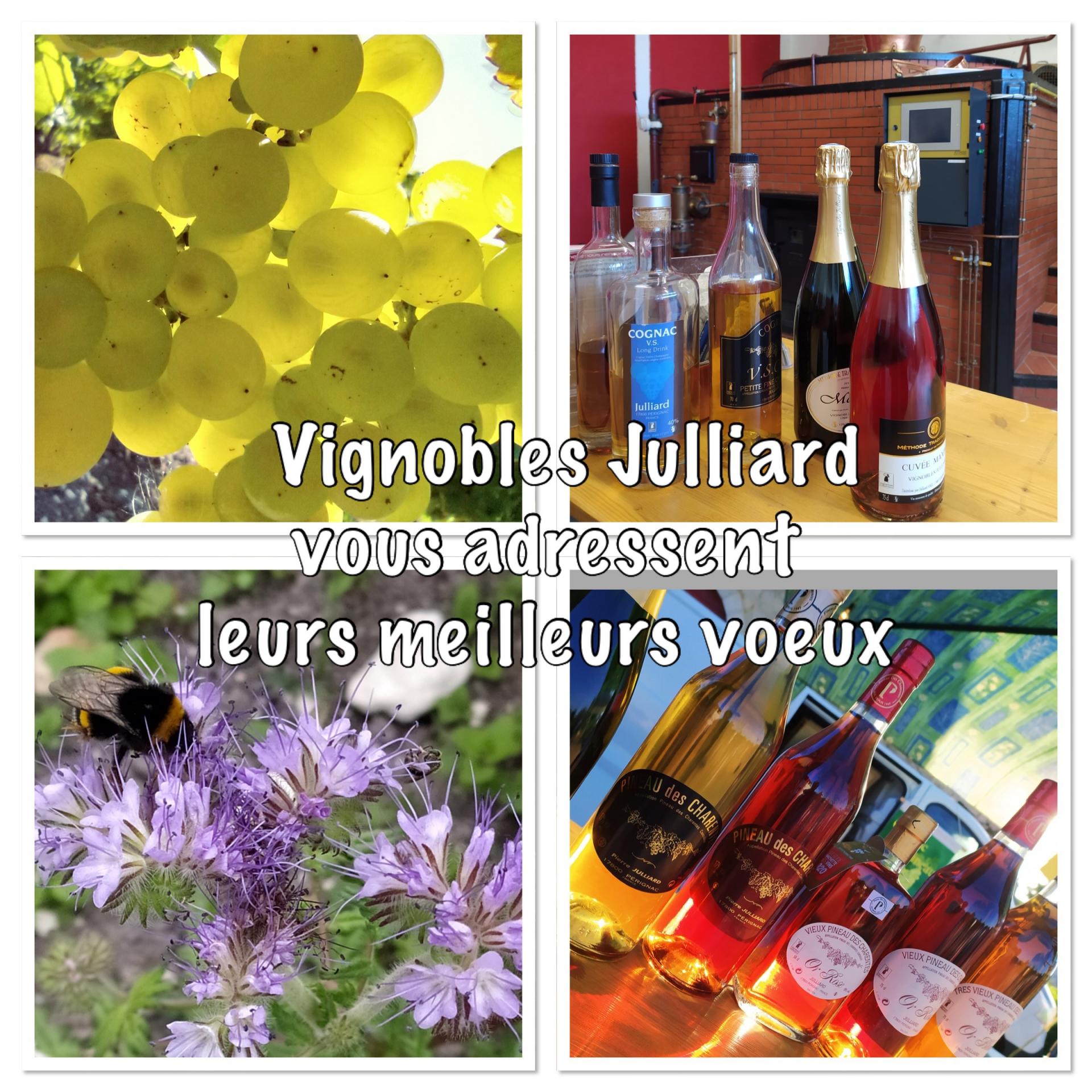Voeux 2022